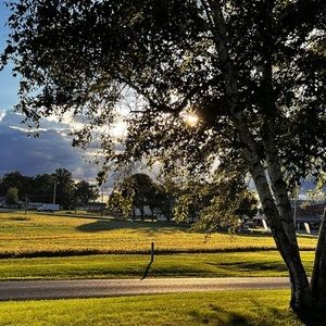 Meet your Posher, Joe